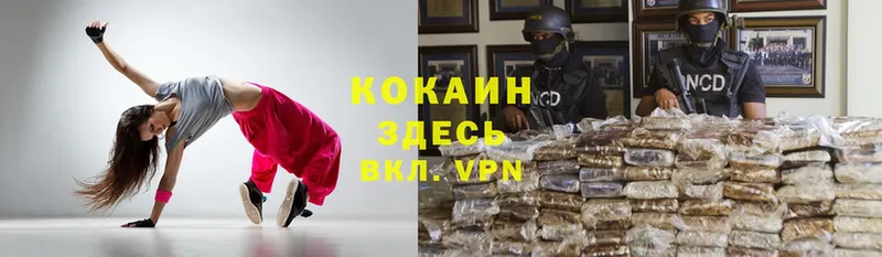 купить  цена  Буйнакск  COCAIN VHQ 